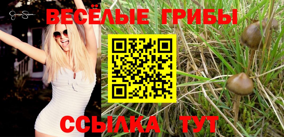 Галлюциногенные грибы Cubensis  Вход с VPN  Великие Луки 